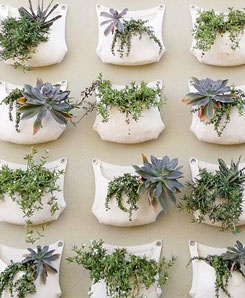 Nice idea - plants or herbs
